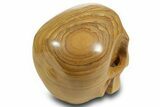 Realistic, Polished Picture Jasper Skull #378609-4